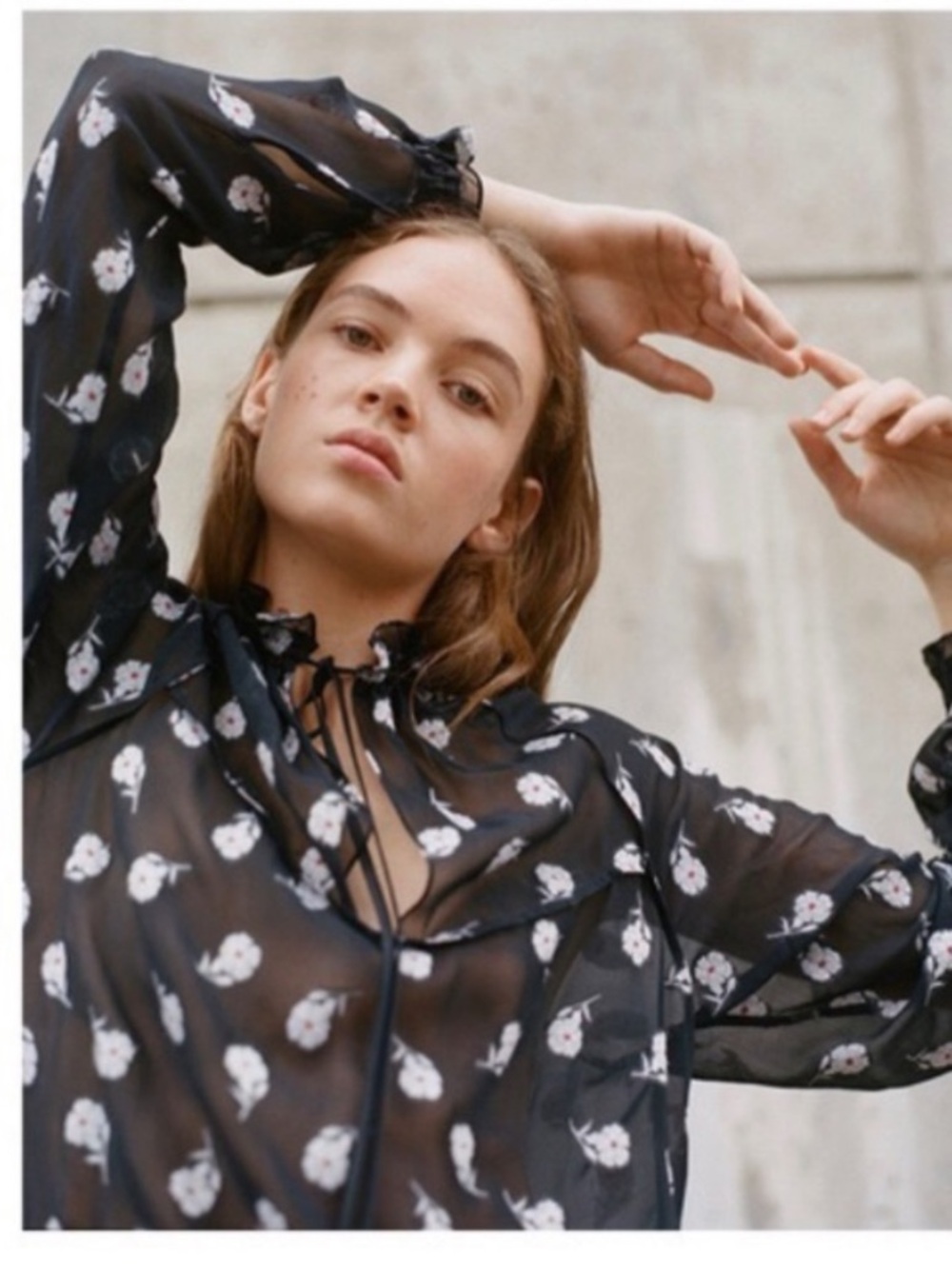 rag & bone The Bennet silk Black Sheer Floral Tie-Neck Blouse - Picture 2 of 10
